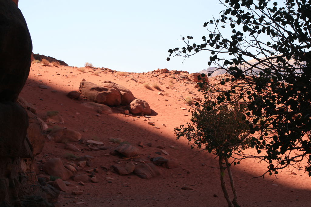 Wadi Rum